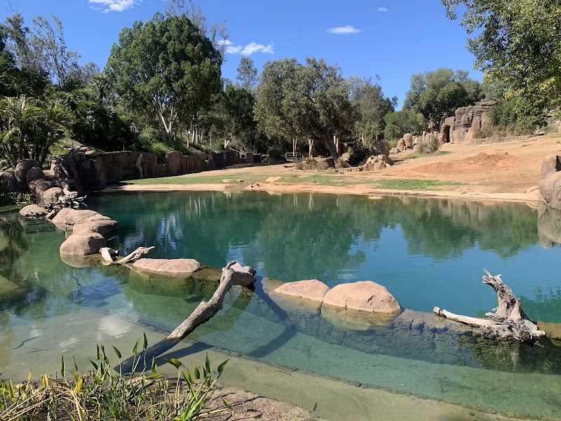 Elephant Valley - Elephant Valley San Diego Zoo Safari Park, 15500 San Pasqual Valley Rd, Escondido, CA 92027, USA