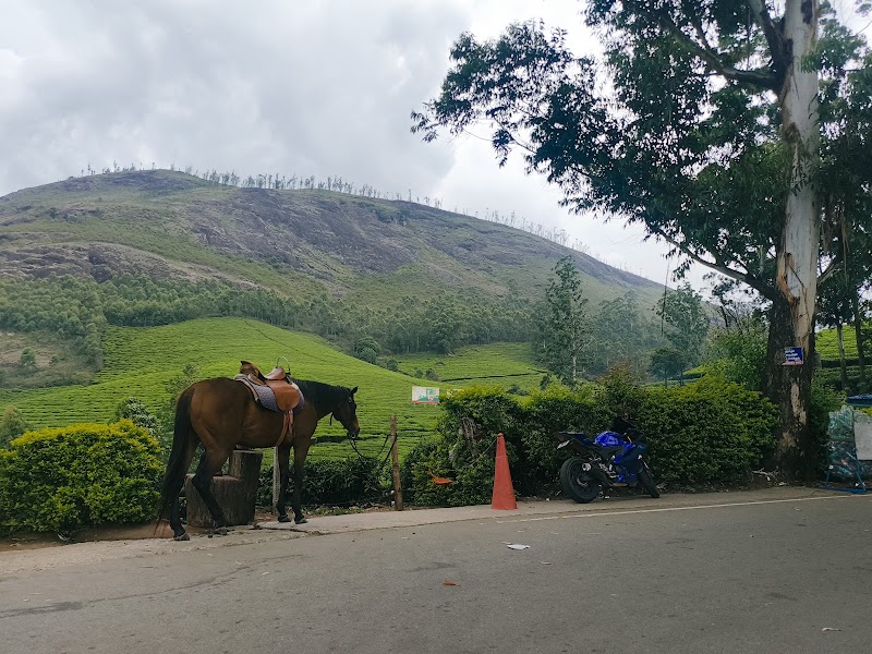 Photo Point - Photo Point, Munnar - Top Station Hwy, Kannan Devan Hills, Kerala 685616, India