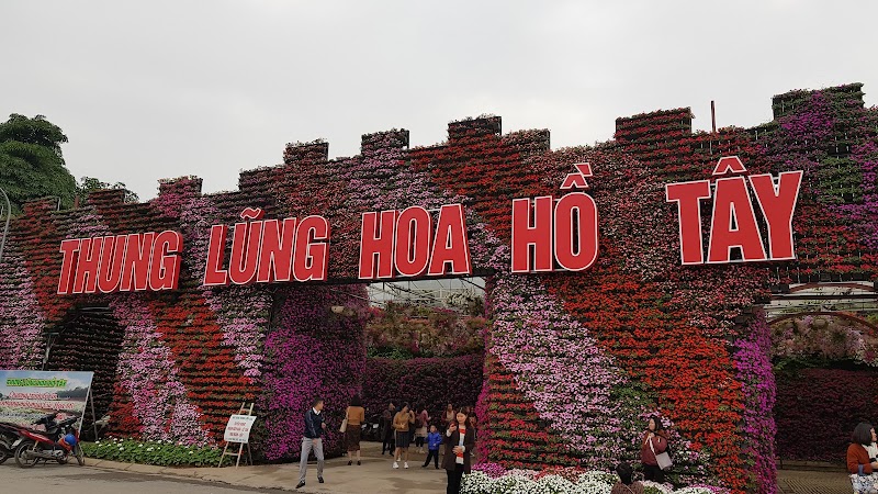 Thung lũng hoa hồ Tây - Thung lũng hoa hồ Tây, Ngã 3 P. Nhật Chiêu, Tây Hồ, Hà Nội, Vietnam