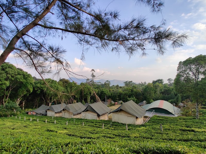 Kalypso Camp - Kalypso Camp, Shanmughavilasam Estate Rd, Suryanelli, Kerala 685618, India