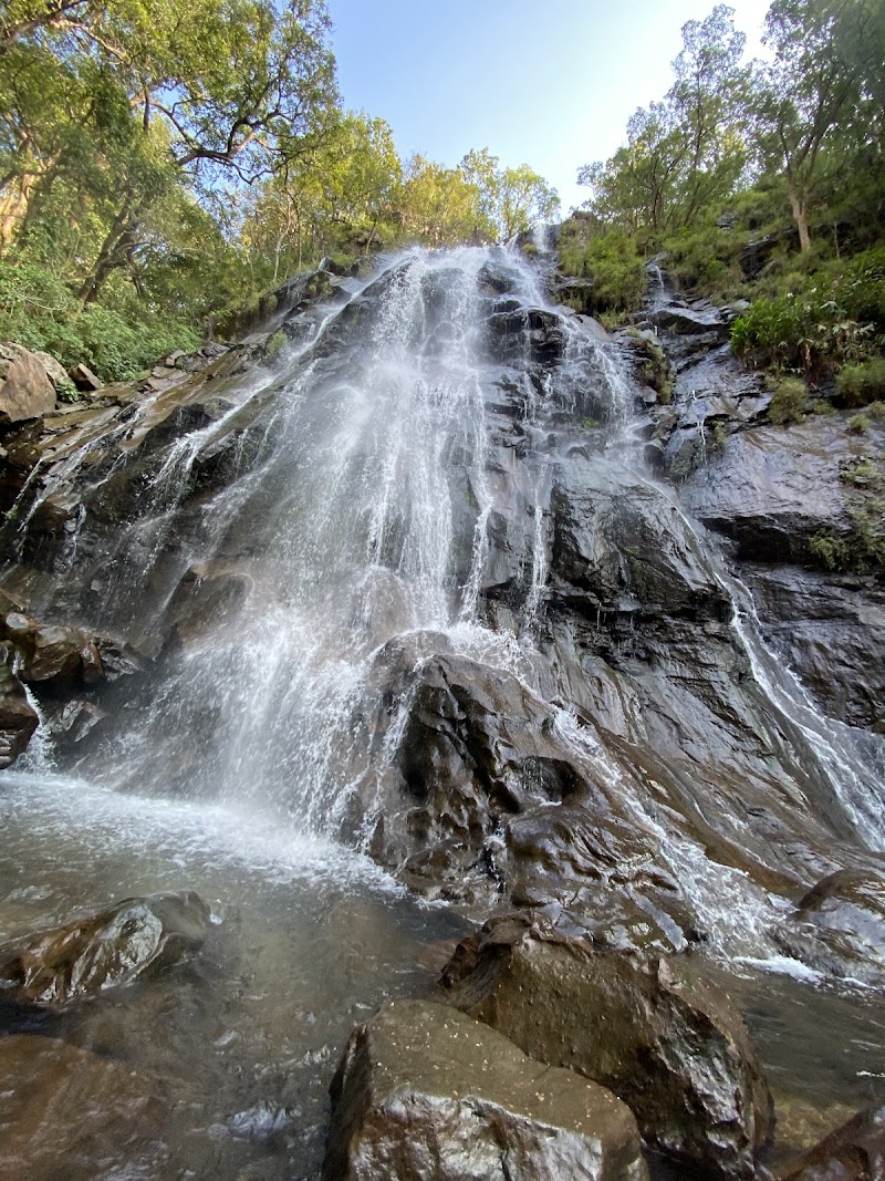 Satpura National Park - Satpura National Park Hoshangabad, Madhya Pradesh, India