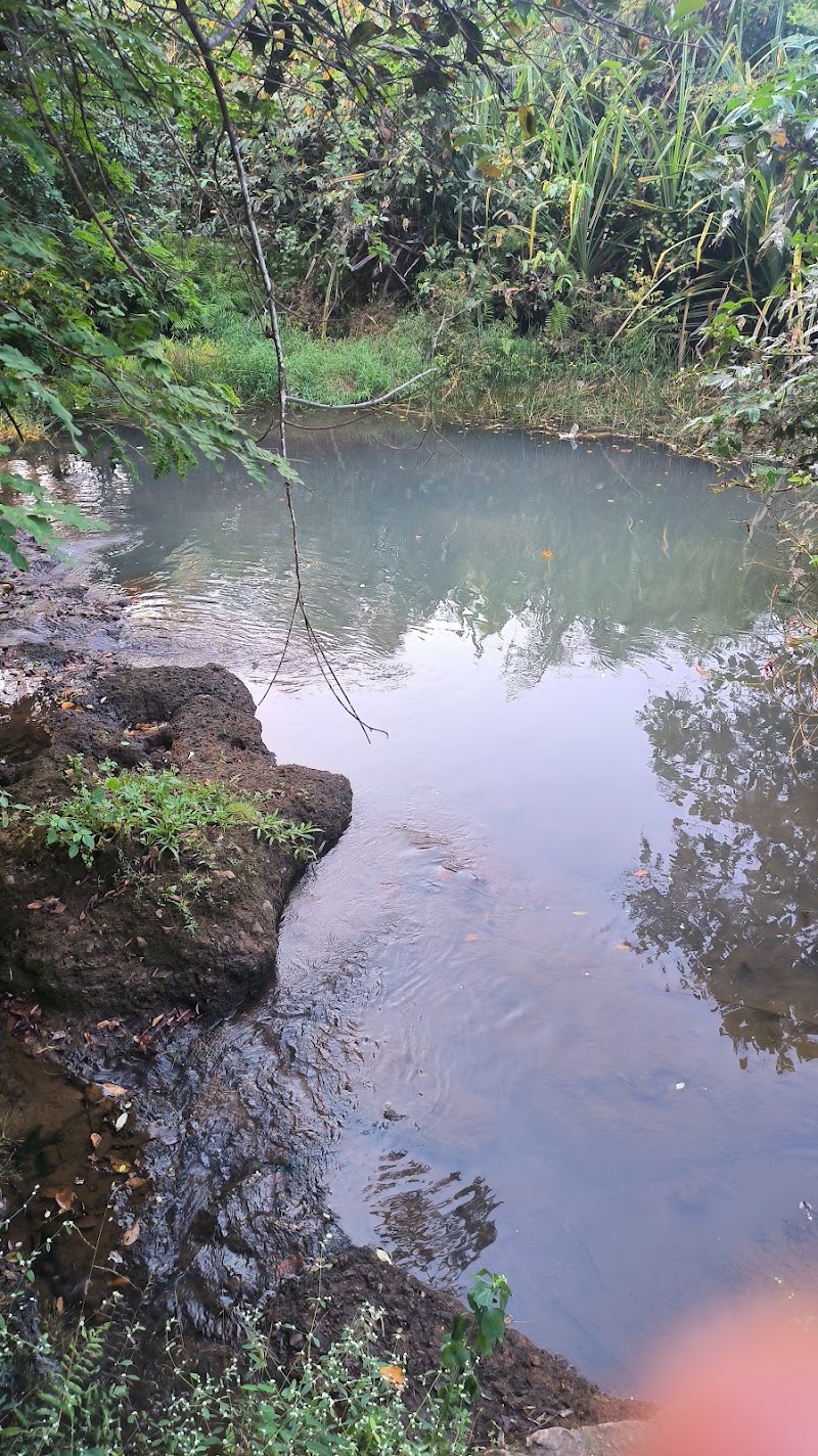 Zariwada Spring Cortali - Zariwada Spring Cortali 647V+QGF, Kotarli, Goa 403704, India