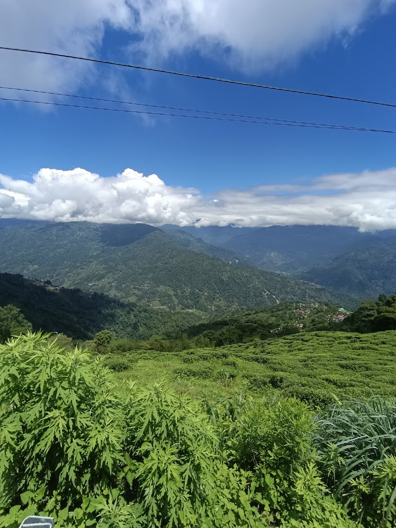 Darap Village Walk - Darap Village Walk Pelling-Rimbi Rd, Darap, Sikkim 737113, India