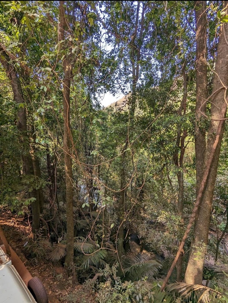 Dudhsagar Watchtower - Dudhsagar Watchtower 8857+H9Q, Sonauli, Goa 403410, India