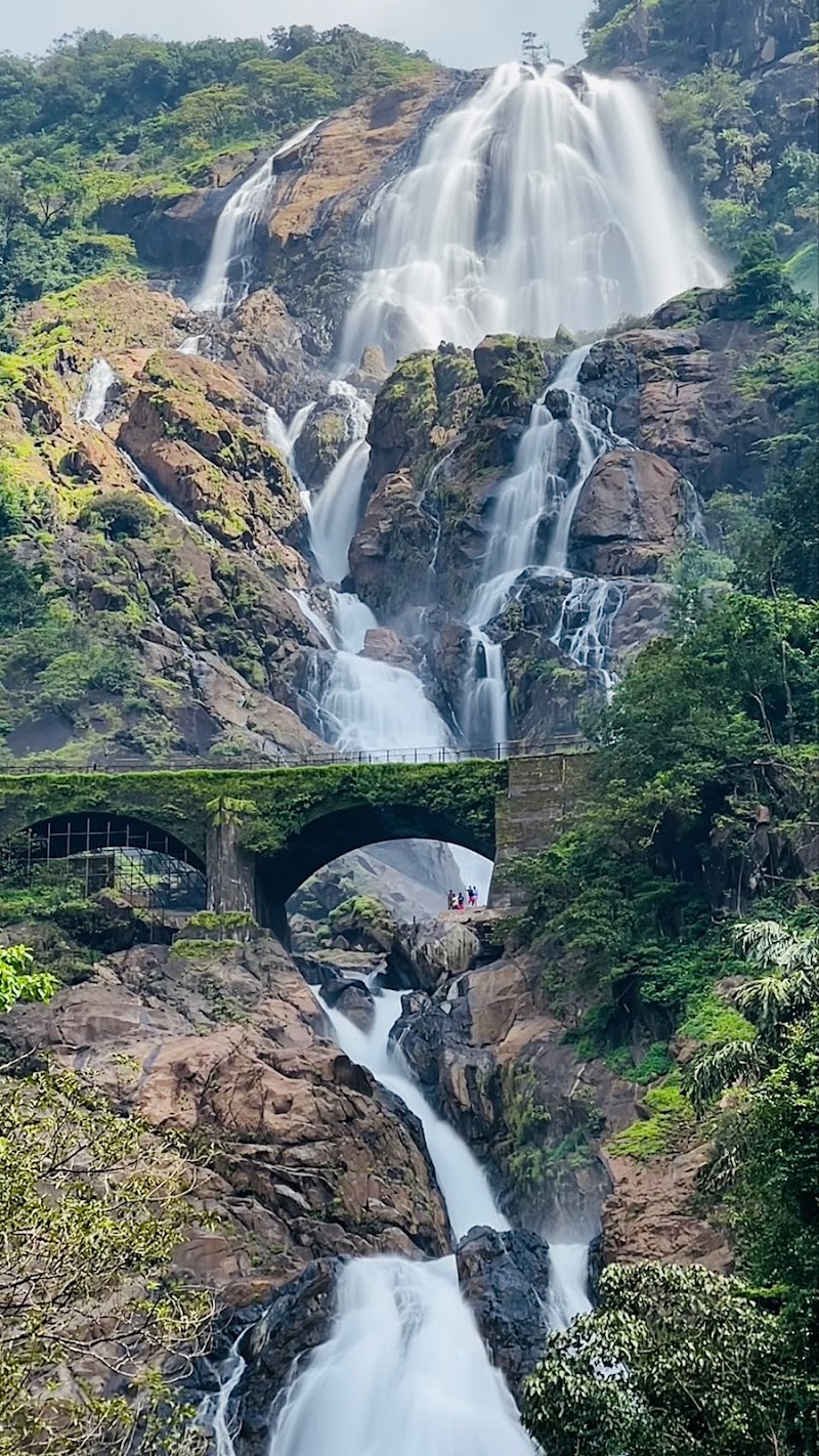 Dudhsagar Falls - Dudhsagar Falls Sonauli, Goa 403410, India