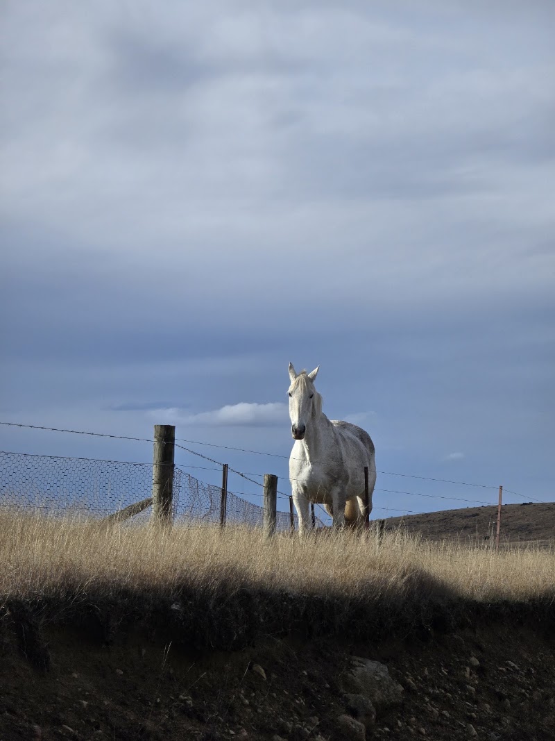 Pelennor Fields - Pelennor Fields, Q2FV+VP, Ben Ohau 7999, New Zealand