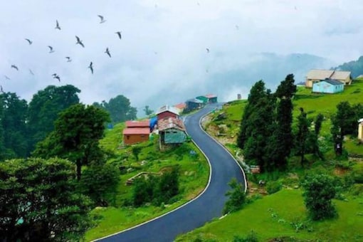 Chopta - Chopta Chopta, Uttarakhand 246442, India