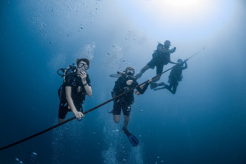 Waterspeak Private Charters & Scuba Diving - Waterspeak Private Charters & Scuba Diving, 33/110, ตำบล บ่อผุด อำเภอเกาะสมุย สุราษฎร์ธานี 84320, Thailand