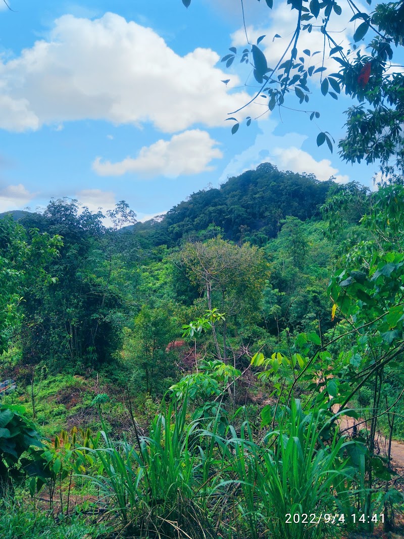 Algama Ella - Algama Ella, 553F+HM7 Algama, Paranathala, Sri Lanka