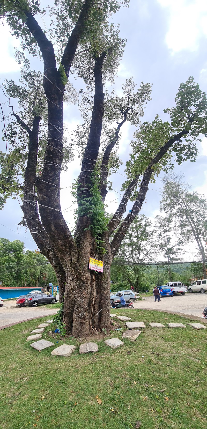 Dhulikhel Park - Dhulikhel Park JH87+C49, Dhulikhel 45200, Nepal