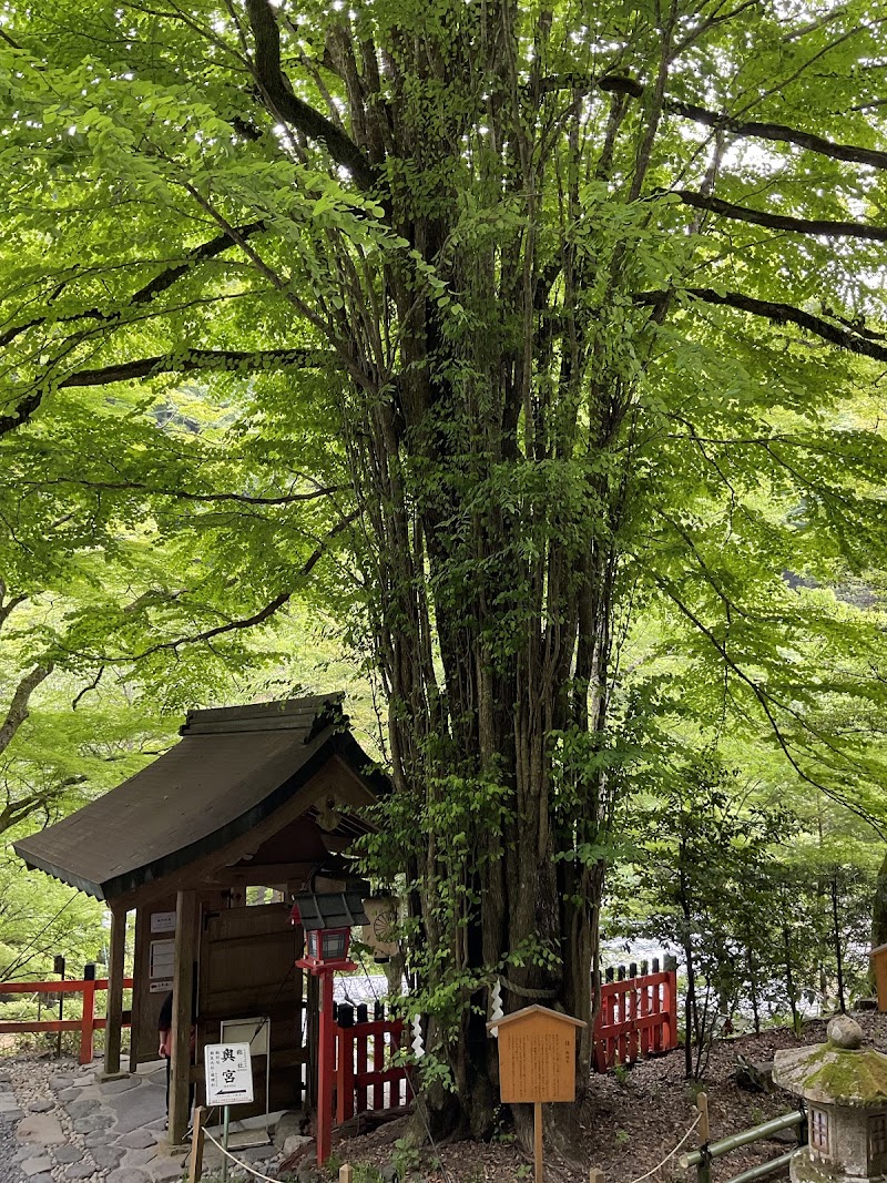 Kifune
