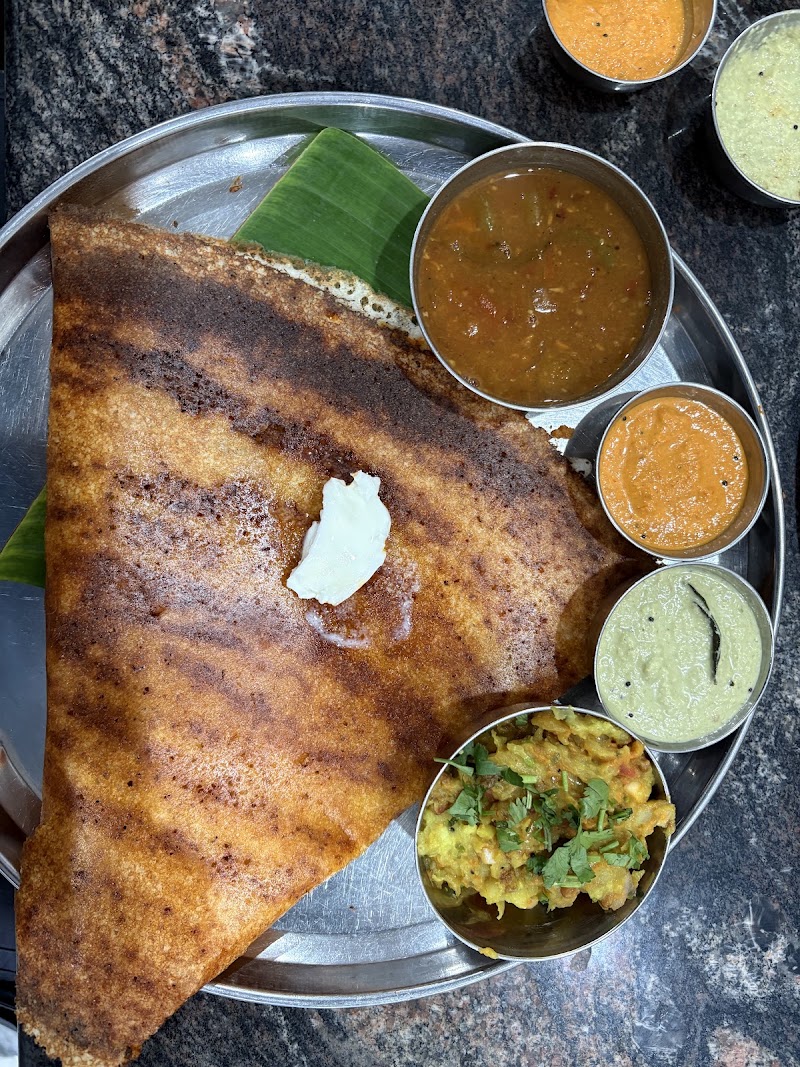 𝑷𝒖𝒓𝒐𝒉𝒊𝒕 𝑪𝒂𝒇𝒆 - Best South Indian Restaurant in Udaipur Since 1987 - 𝑷𝒖𝒓𝒐𝒉𝒊𝒕 𝑪𝒂𝒇𝒆 - Best South Indian Restaurant in Udaipur Since 1987 Anand Plaza, University Rd, Shabri Colony, Ayad, Kharakua, Udaipur, Rajasthan 313001, India