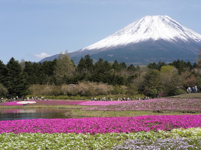 Mount Fuji - Mount Fuji Mount Fuji, Kitayama, Fujinomiya, Shizuoka 418-0112, Japan