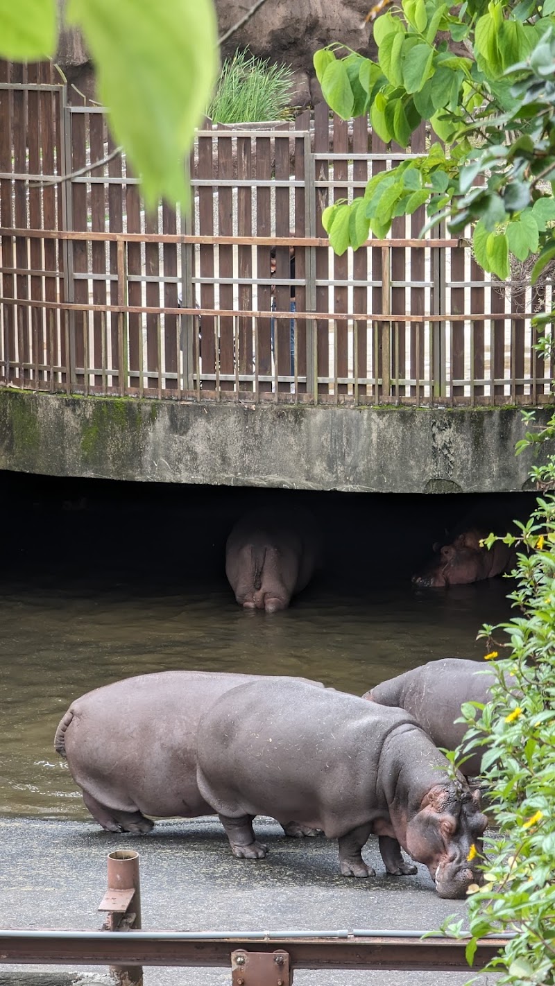 Taipei Zoo - Taipei Zoo, No. 30號, Section 2, Xinguang Rd, Wanxing Village, Wenshan District, Taipei City, Taiwan 116