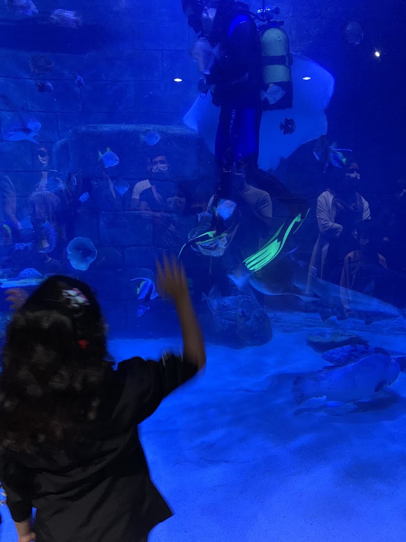 Funtastic Aquarium - Funtastic Aquarium, Gilan Province, Bandar Anzali, منطقه آزاد انزلی،کیلومتر 5، Fatehi Blvd, FM3F+8XX, Iran