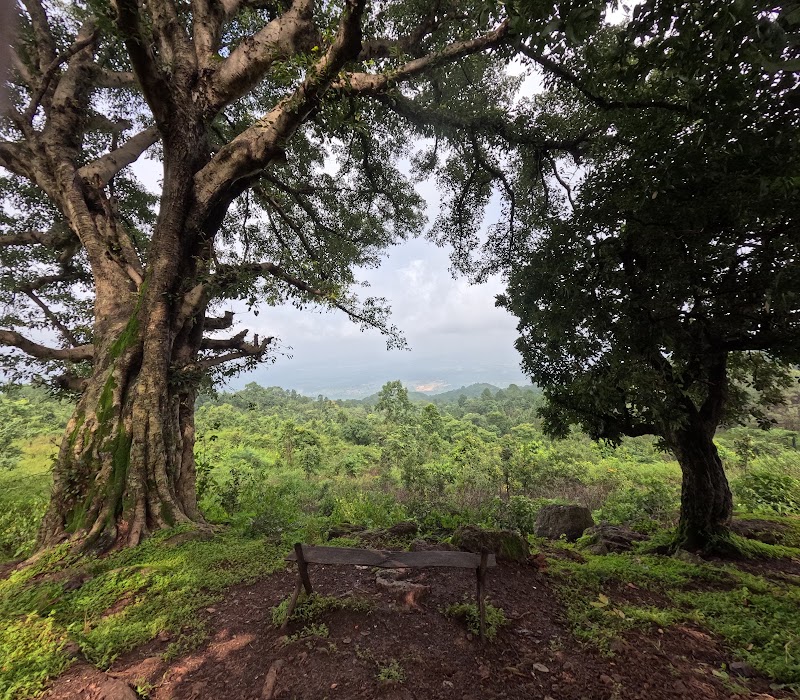 Pine Forest Koel View Point - Pine Forest Koel View Point F7PG+9X5 Koel View Point, Netarhat, Jharkhand 835218, India