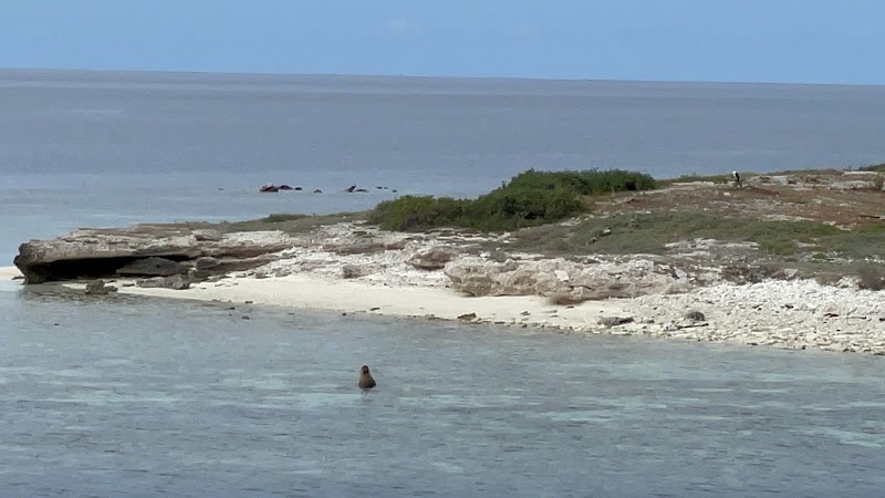 Abrolhos Islands - Abrolhos Islands, Houtman Abrolhos WA 6530, Australia