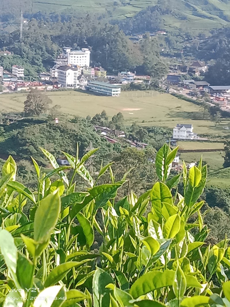 Letchimi hills half day trekking - Letchimi hills half day trekking, Old, sevenmalai estate, near lions school Ksrtc bus stand, Munnar, Keralam 685612, India