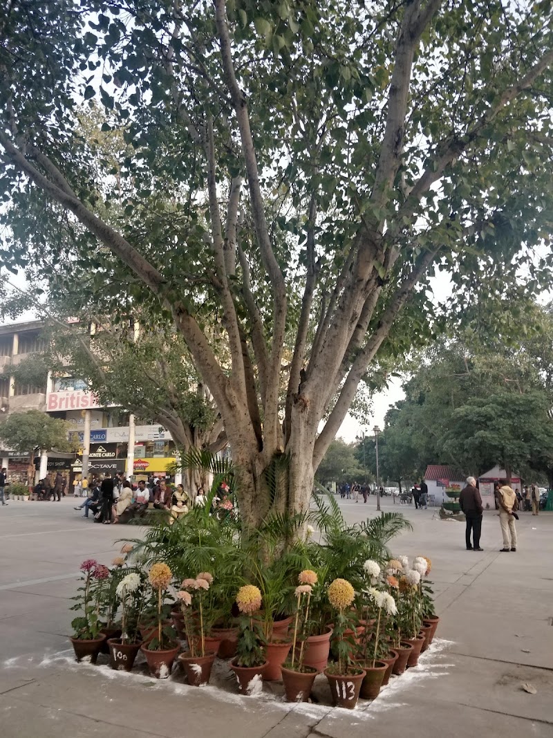 Shopping Plaza - Shopping Plaza, Sector 1, 17C, Sector 17, Chandigarh, 160017, India