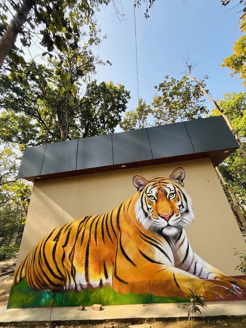 Jim Corbett Safari - Jim Corbett Safari Jim Corbett National Park, Ramnagar, Uttarakhand 244715, India