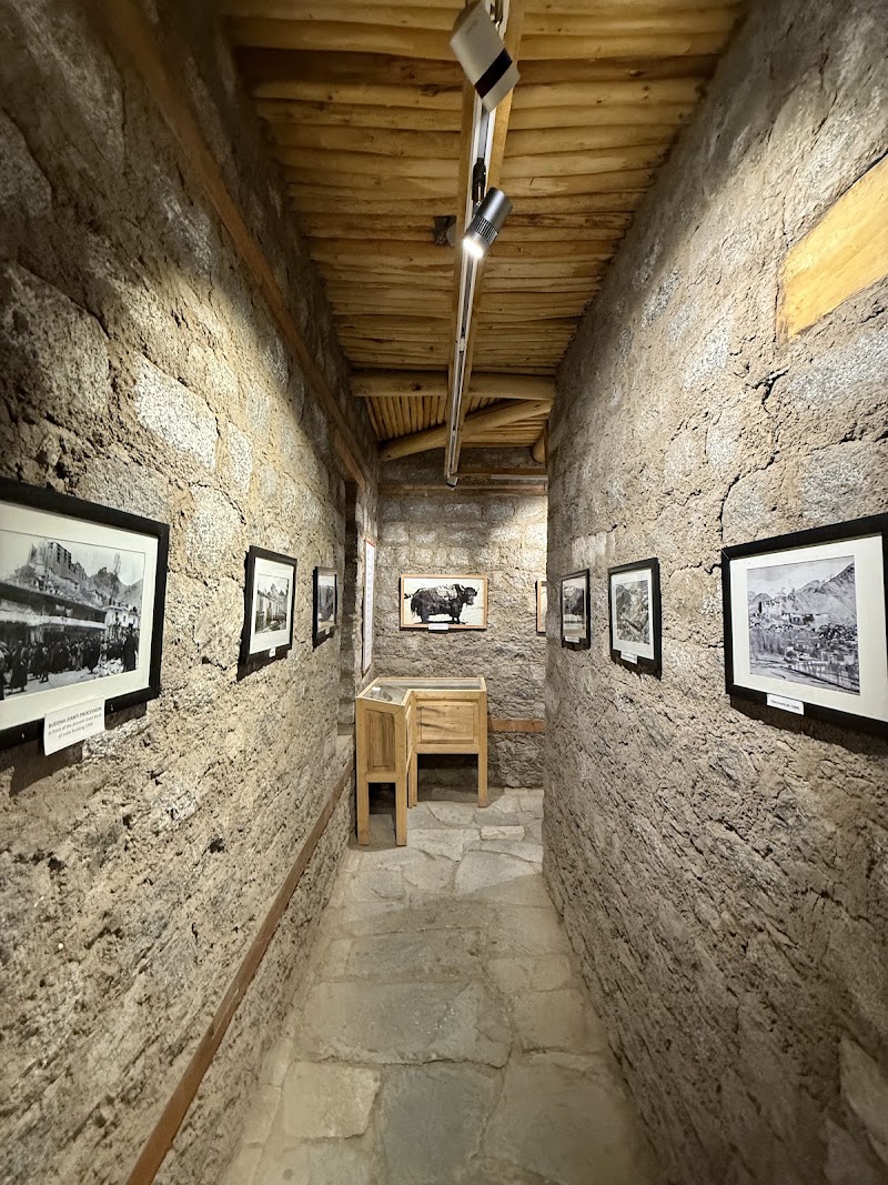 Central Asian Museum - Central Asian Museum, 5H8P+523, Main Bazaar Rd, Leh, 194101