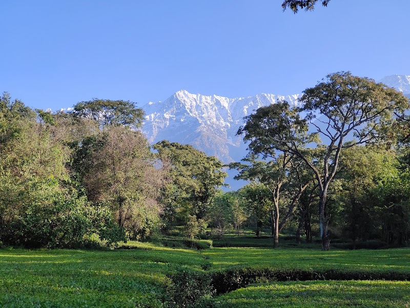 Treebo Ortus Residency - Treebo Ortus Residency Dharamsala Rd, Near Hotel Club Mahindra, Dari, Sheela Chowk, Hodal, Dharamshala, Himachal Pradesh 176215, India
