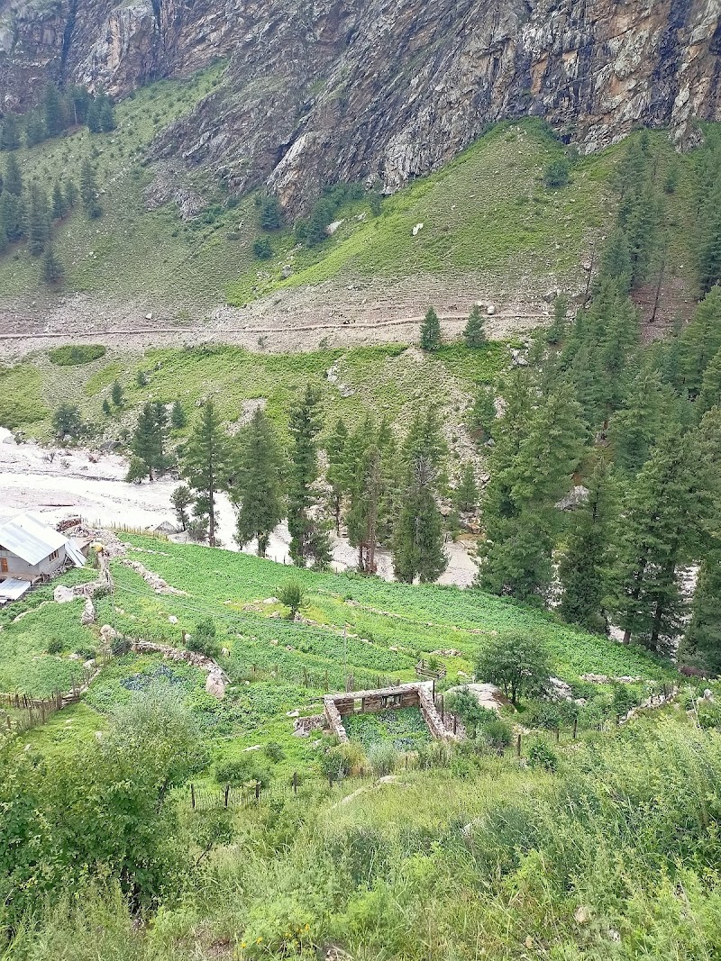 Pangi - Pangi, Himachal Pradesh 176323, India