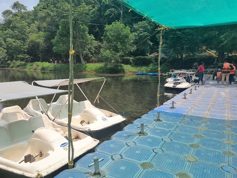 Pookode Lake Boating - Pookode Lake Boating, G2RG+7WQ, Pookode, Kunnathidavaka, Keralam 673576, India