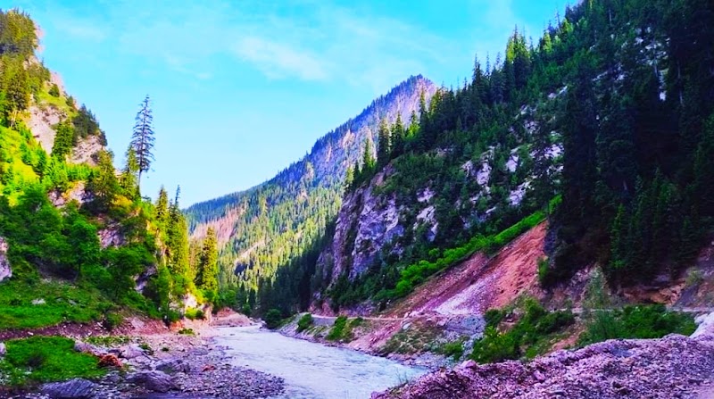 Gurez Valley - Gurez Valley, Forest Block 193503