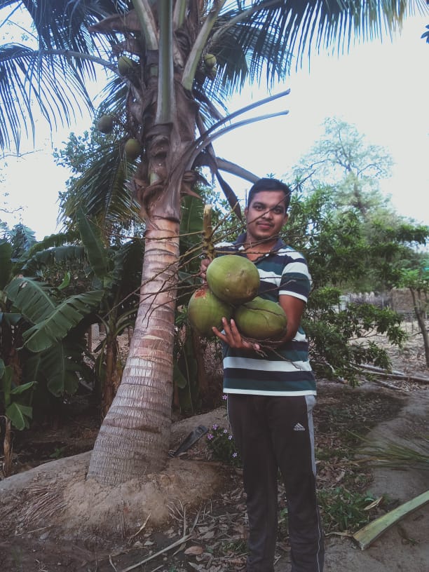 Go Green Garden - Go Green Garden, 4PHC+VQM, Bhandarpuri, Odisha 768042, India