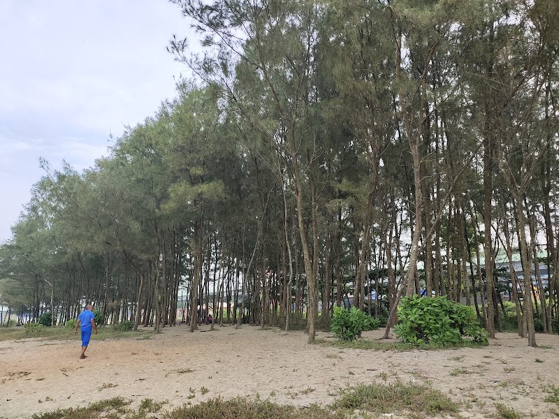Alleppey Pine Forest (Mini) - Alleppey Pine Forest (Mini) F8Q9+4MR, Kunnumpuram, Alappuzha, Keralam 688012, India