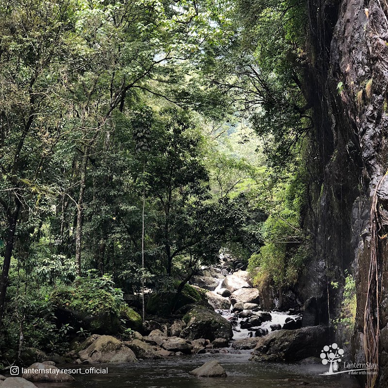 LanternStay - Resort in Wayanad - Camping and Tent Stay - Nearby Vythiri Village - LanternStay - Resort in Wayanad - Camping and Tent Stay - Nearby Vythiri Village Meppadi, Kottappadi part, Kerala 673577, India