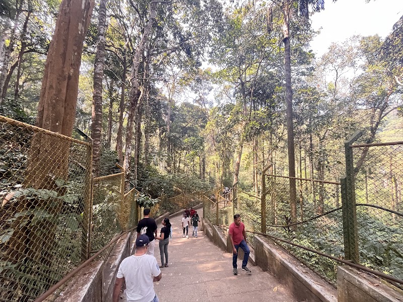 Abbi Waterfall - Abbi Waterfall Abbey Falls Rd, Hebbettageri, Karnataka 571202, India