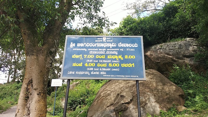 BR Hills Town Park - BR Hills Town Park, X4XQ+M94, Biligiriranganabetta, Karnataka 571441, India
