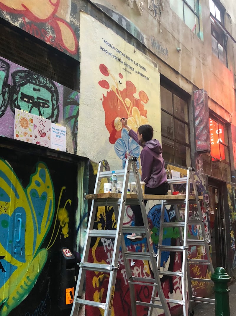 Hosier Lane - Hosier Lane, Hosier Ln, Melbourne VIC 3000, Australia