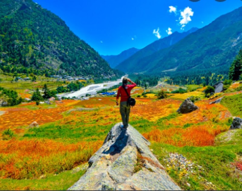 Rohit homestay, chitkul - Rohit homestay, chitkul Rohit home stay, Chitkul, Himachal Pradesh 172106, India