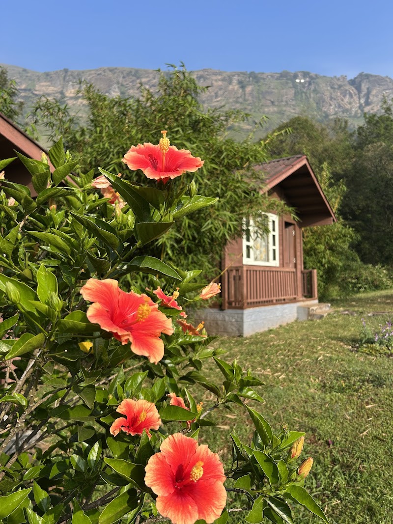 Manikyadhara Homestay - Manikyadhara Homestay 9QR9+99P, Chikkamagaluru, Arasinaguppe, Karnataka 577131, India