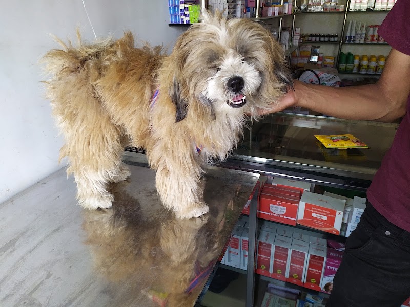 Dr. Tarun's Pet Clinic Rajnandgaon