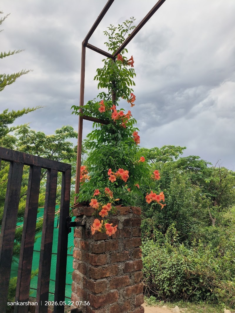 The Bagicha - The Bagicha, vill lahar, The bagicha, p.o gunehar, Teh, baijnath, Bir, Himachal Pradesh 175032, India