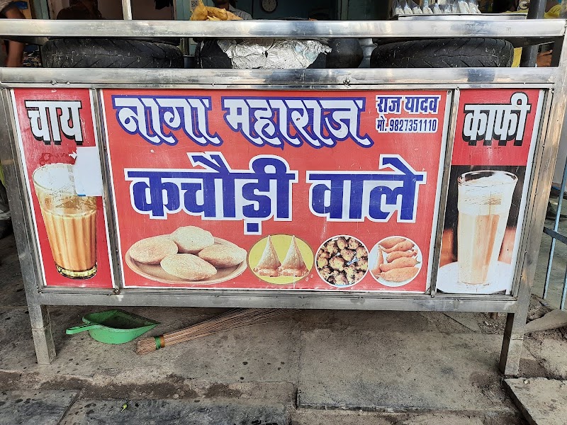 Guru Naga maharaj caters - Guru Naga maharaj caters RDA comple, Shop no 10, Vivekanand Nagar, Taigore Nagar, Raipur, Chhattisgarh 492001, India