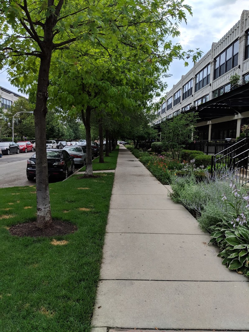 University Commons - University Commons, 1011 W 14th Pl, Chicago, IL 60608, USA