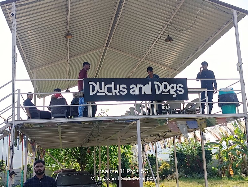 Ducks and Dogs Cafe - Ducks and Dogs Cafe Pandala Hills, Garat Pur Bas, Haryana 122101, India