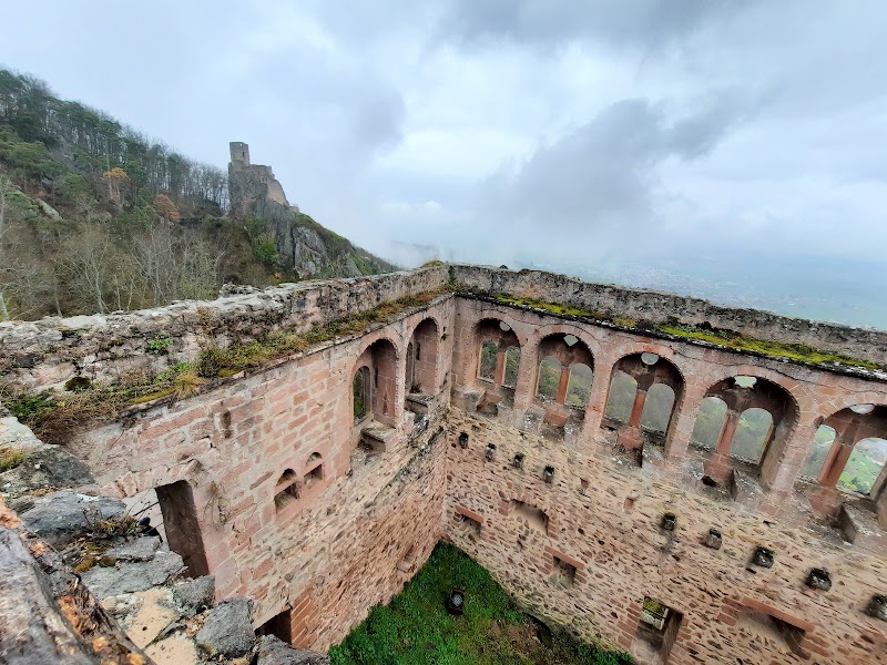 Château de Saint-Ulrich - Château de Saint-Ulrich, 68150 Ribeauvillé, France