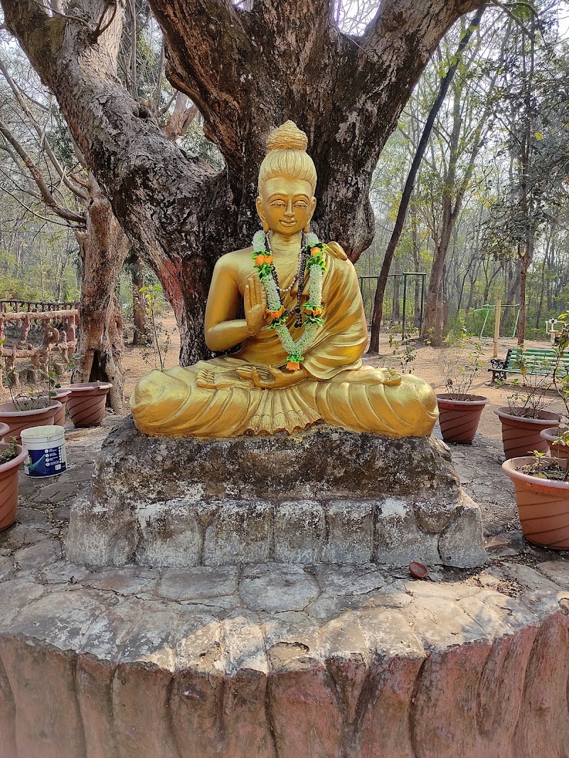 Rose Garden - Rose Garden, VCQ6+H5G Paryawaran Park, TV Tower Rd, Kelo Vihar, Raigarh, Chhattisgarh 496001, India