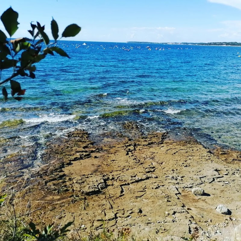 Apartment Leo - Apartment Leo Mušalež 66, 52440, Poreč, Croatia