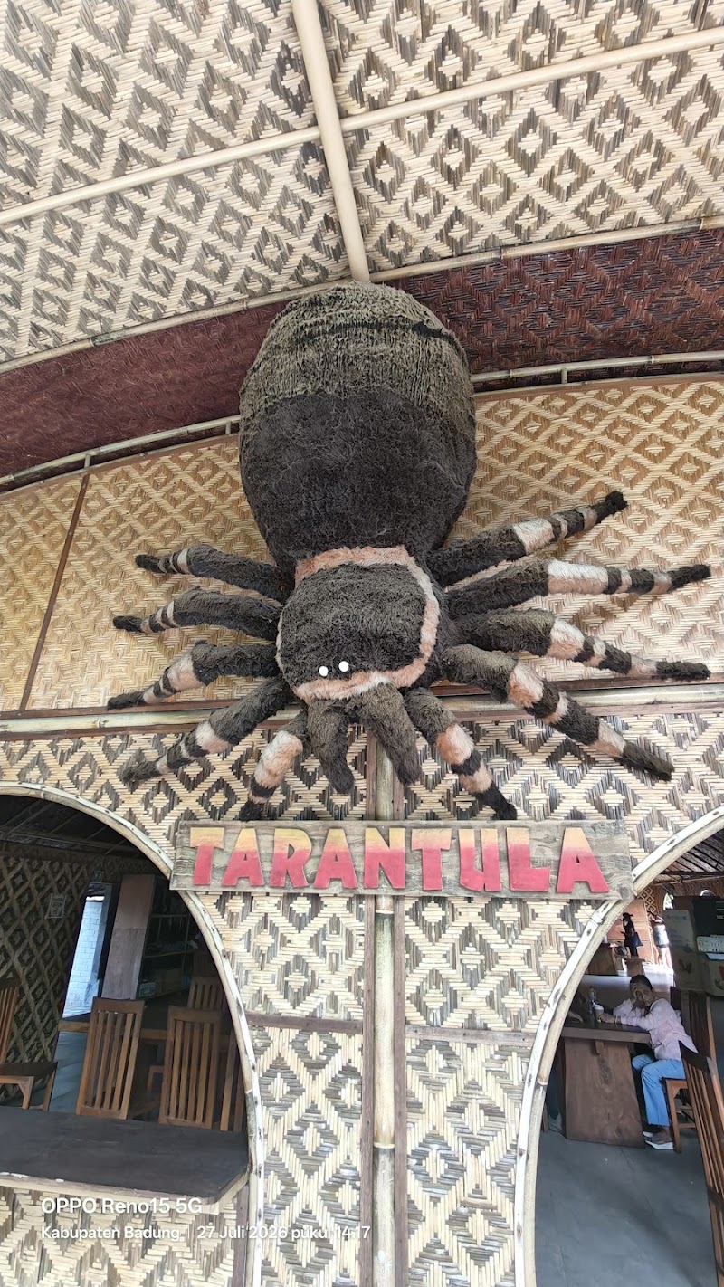 Bali Tarantula Adventure - ATV , RAFTING AND SWING - Bali Tarantula Adventure - ATV , RAFTING AND SWING Bongkasa Pertiwi, Abiansemal, Badung Regency, Bali, Indonesia