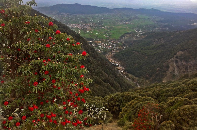 Himachali Essentials- Tirthan Valley - Himachali Essentials- Tirthan Valley Himachali Essentials, Near Fish Farm hamini, Sunshine Camp, Gushaini, Pekhri, Himachal Pradesh 175123, India