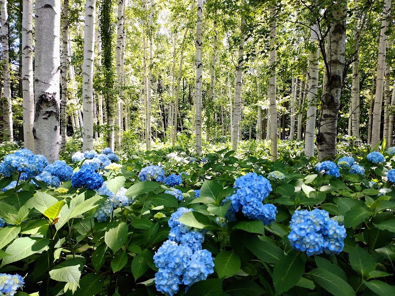 Toyohira Park