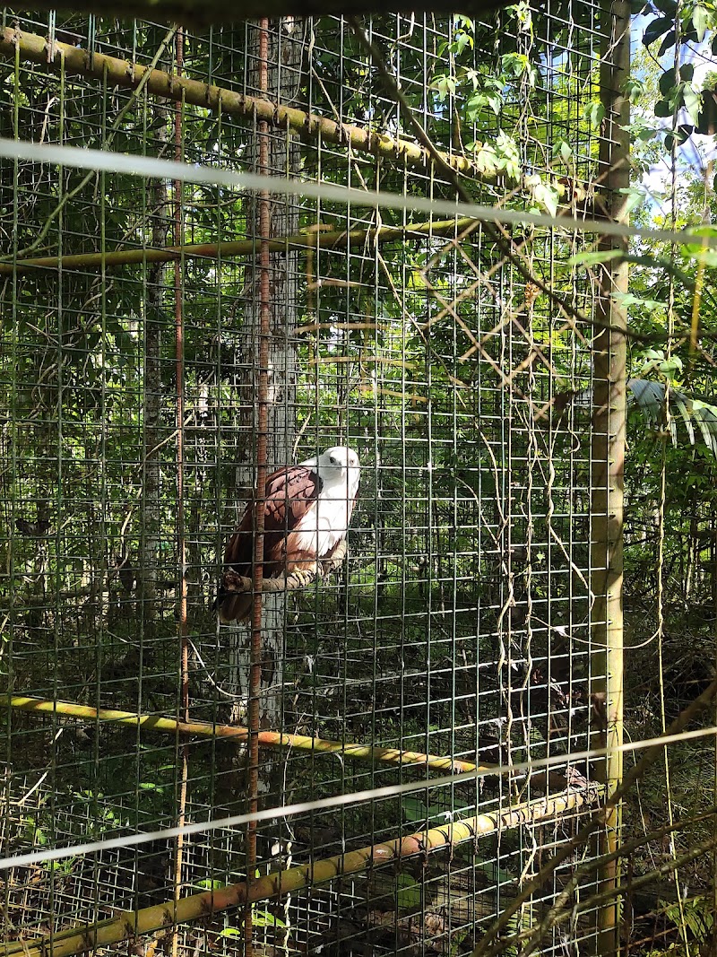 Bohol Enchanted - Agri-Cultural-Eco Park - Bohol Enchanted - Agri-Cultural-Eco Park, Bilar, Bohol, Philippines