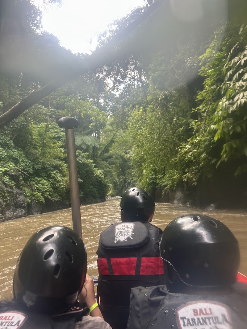 Bali Tarantula Adventure - ATV , RAFTING AND SWING - Bali Tarantula Adventure - ATV , RAFTING AND SWING Bongkasa Pertiwi, Abiansemal, Badung Regency, Bali, Indonesia